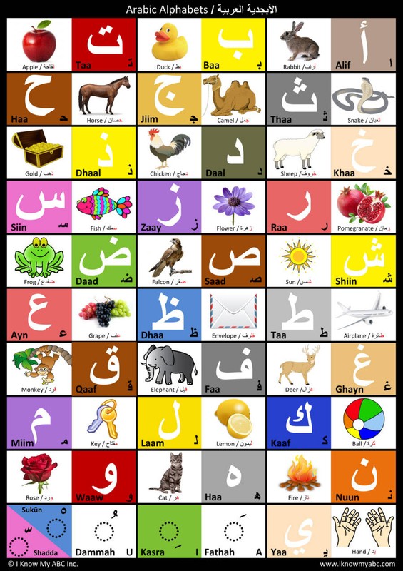 Arabic Alphabet Chart : Arabic Alphabet Poster