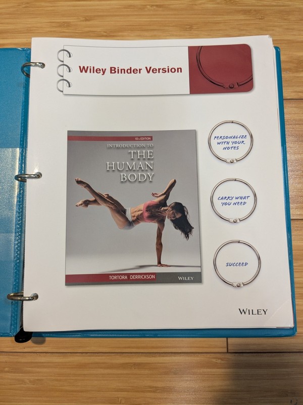 Introduction to the Human Body by Bryan H. Derrickson and Gerard J. Tortora