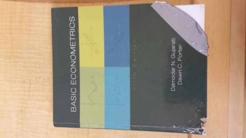 Basic Econometrics – Hardcover, by Gujarati Damodar N; Porter Dawn – Very Good