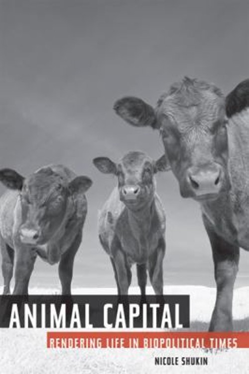 Animal Capital : Rendering Life in Biopolitical Times Paperback N