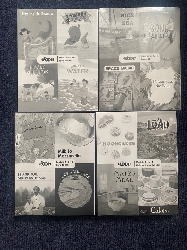 My Geodes Module 4 Book Sets Pack of 5 – SoR, Intervention, Small Group