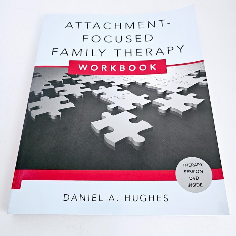 Attachment-Focused Family Therapy Workbook Daniel Hughes Paperback Free Postage