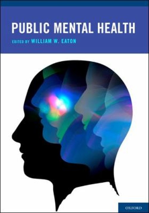 Public Mental Health Hardcover