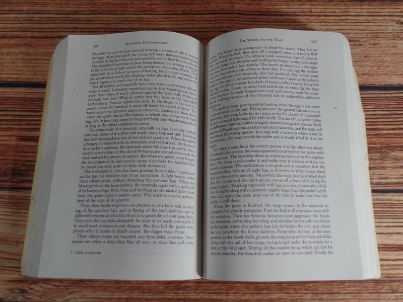 The Norton Reader Shorter Eighth Edition Paperback Essay Anthology W.W. Norton gallery