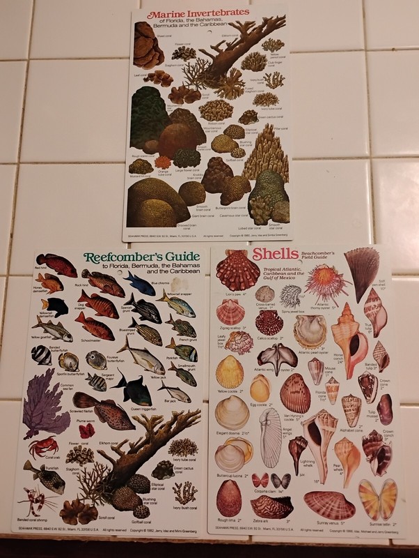 Vintage 1980s Seahawks Press Marine Invertebrates, Reef Guide And Shell Field…