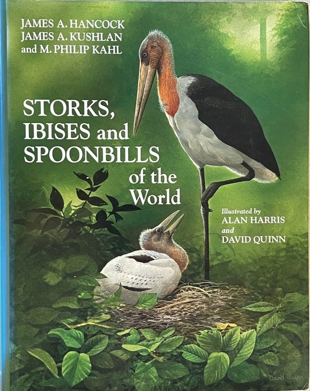 Storks, Ibises and Spoonbills of the World / Hancock • Kushlan • Kahl / 1992 AP
