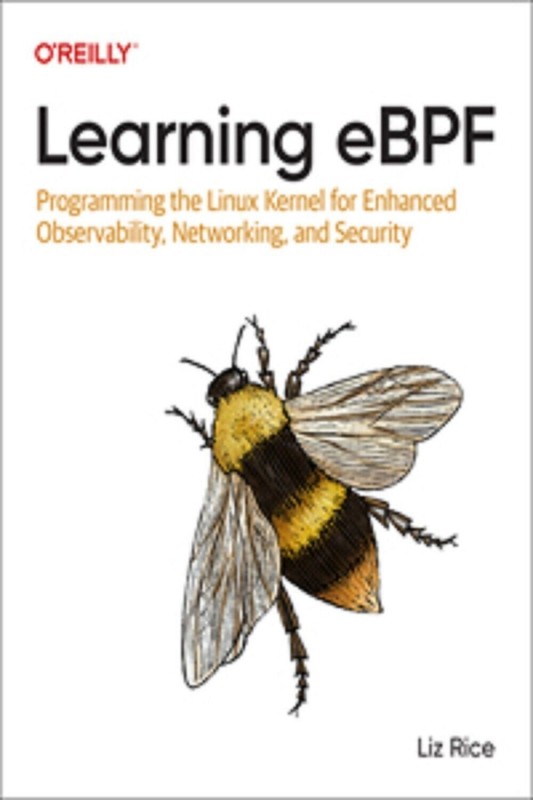 Learning eBPF Paperback P408
