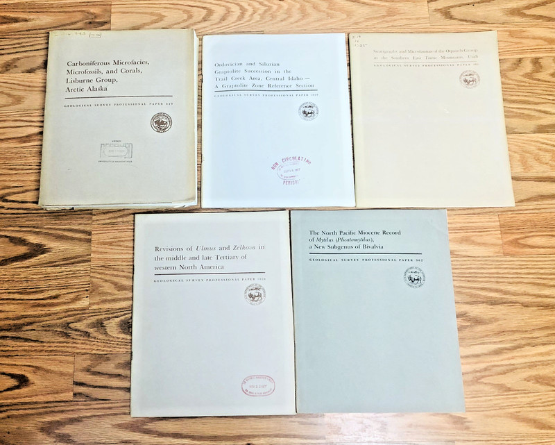 Lot United States Geological Survey Professional Paper USGS Geology Paleontology