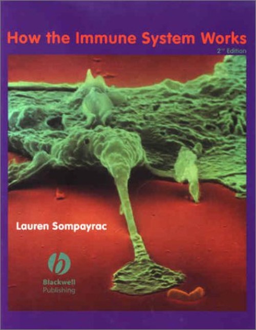 How the Immune System Works Paperback Lauren M. Sompayrac