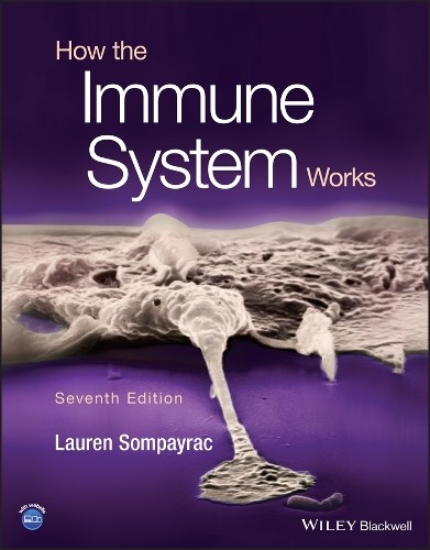 Lauren M. Sompayrac How the Immune System Works (Paperback) (UK IMPORT)