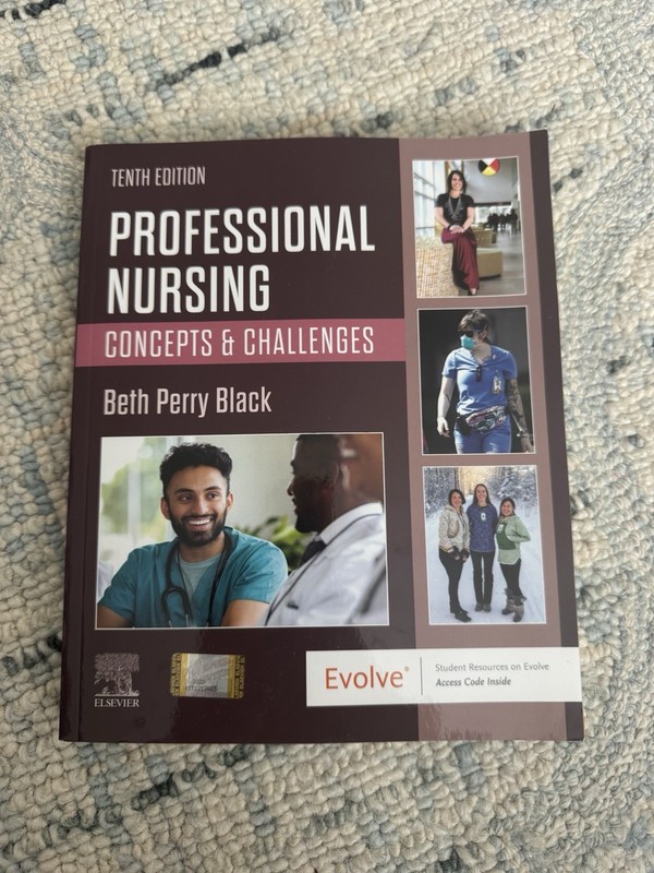 Professional Nursing Concept and Challenges by Beth Perry Black Paperback Book