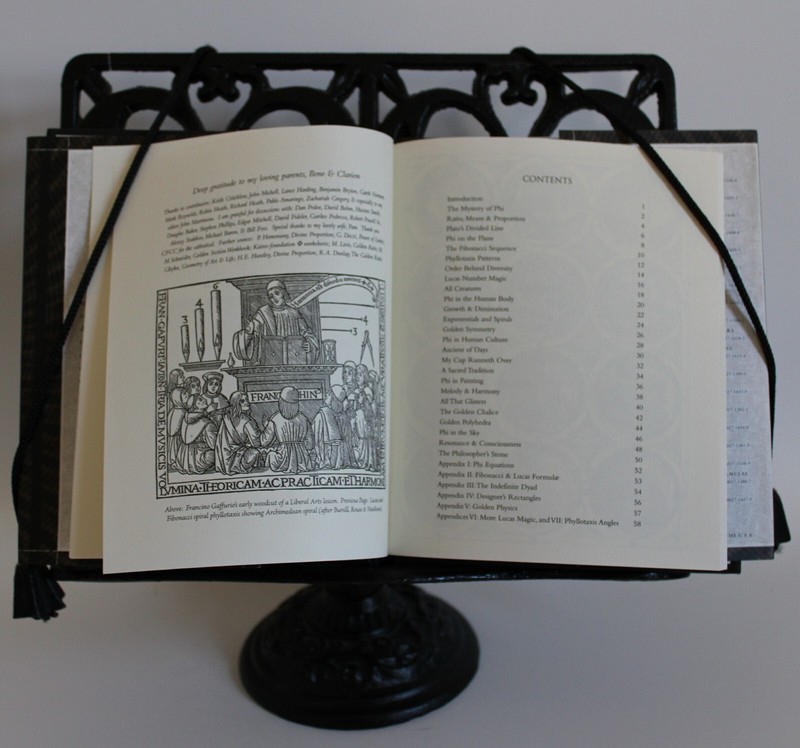 Wooden Bks.: The Golden Section : Nature's Greatest Secret by Scott Olsen (2006, gallery