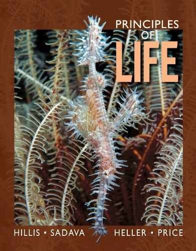 Principles of Life High School – Hardcover, by Hillis David M. – Very Good j