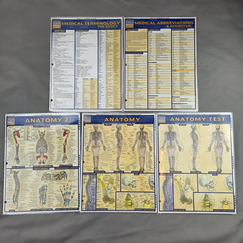 BarCharts QuickStudy Anatomy Terminology Abbreviations Laminated Charts Lot 5