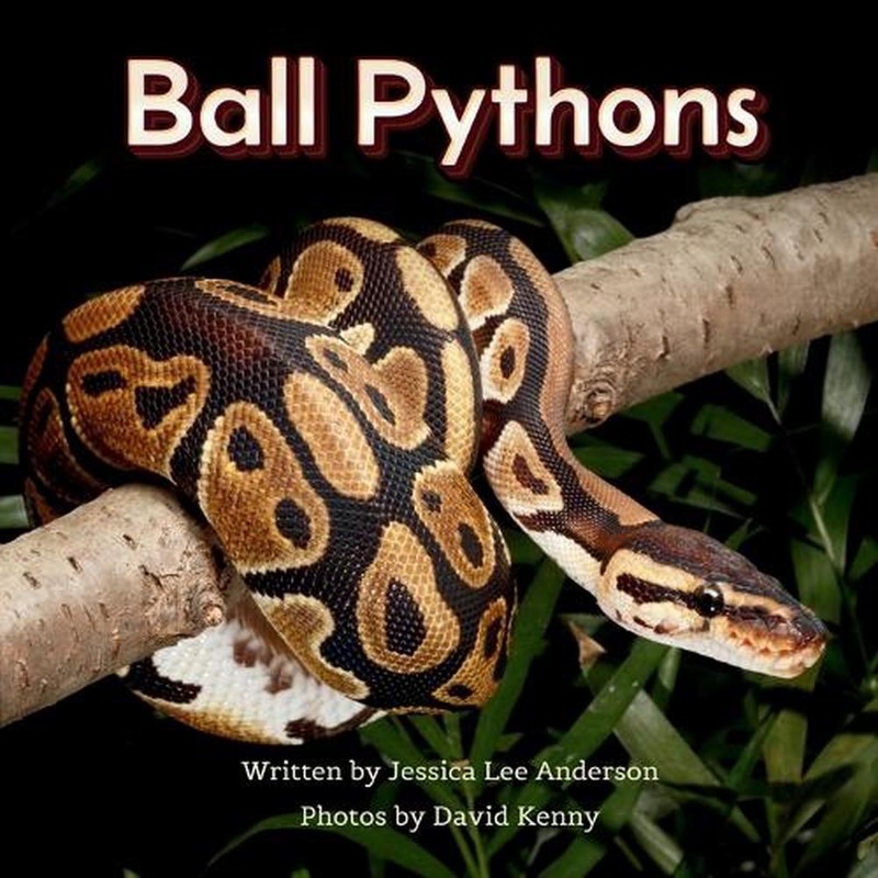 Ball Pythons by Jessica Lee Anderson Paperback Book