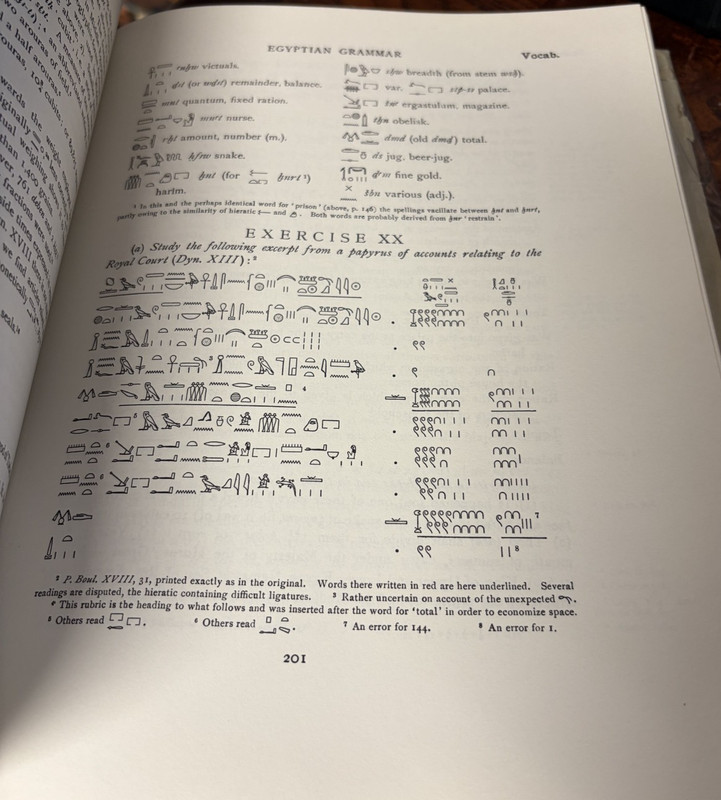 Egyptian Grammar Being an Introduction to the Study of Hieroglyphics HBDJ 1969 gallery