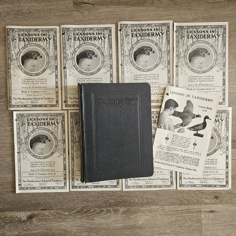 1935 Lessons In Taxidermy Books Northwestern School of Taxidermy (1-6, 8,9)