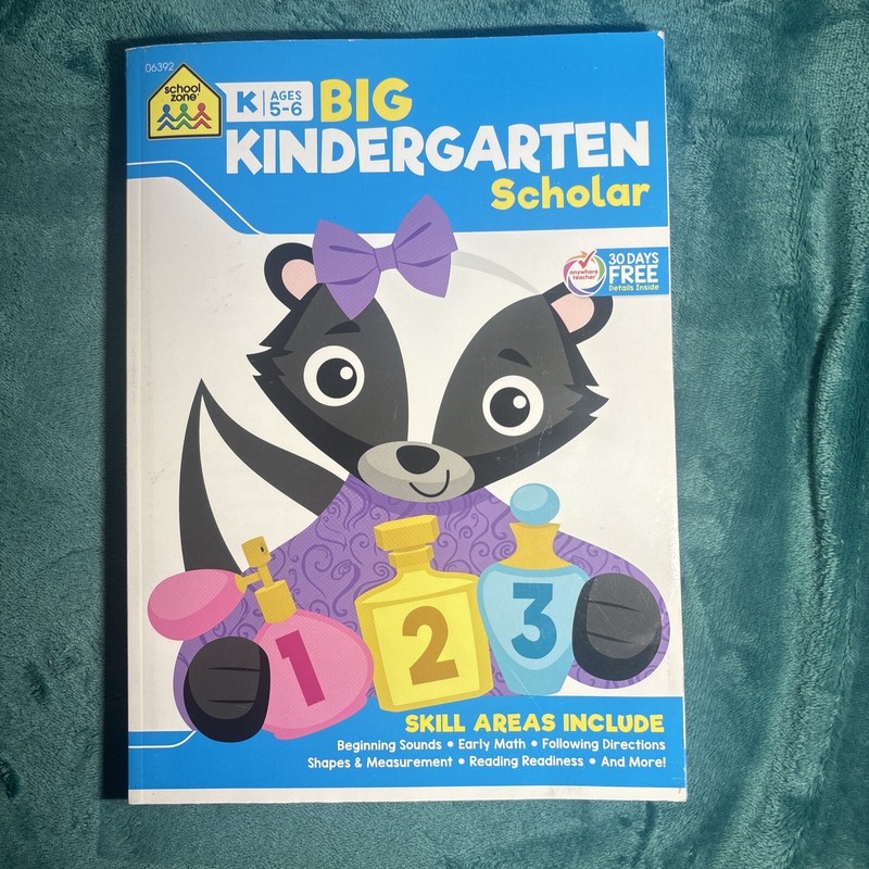 Big Kindergarten Scholar Learning Teaching Home School Book Workbook (©2022)