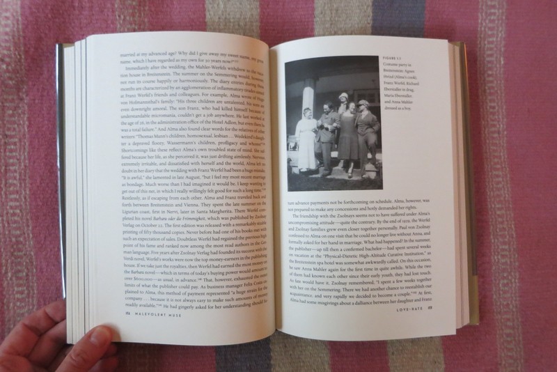 Malevolent Muse: The Life of Alma Mahler Oliver Hilmes Hardcover Dust Jacket gallery