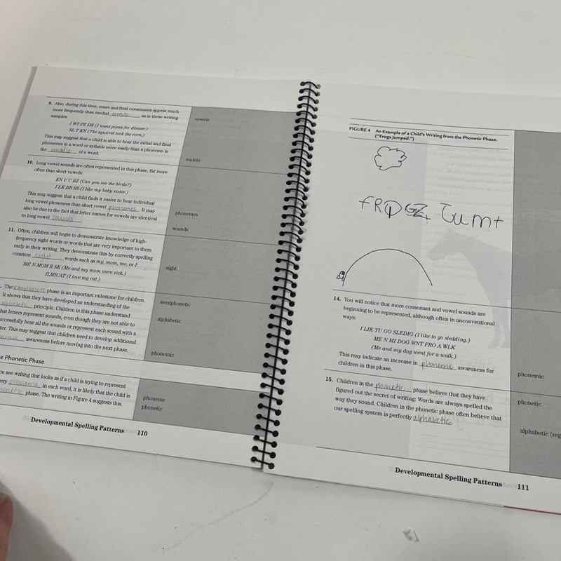 Phonics, Phonemic Awareness, and Word Analysis for Teachers gallery