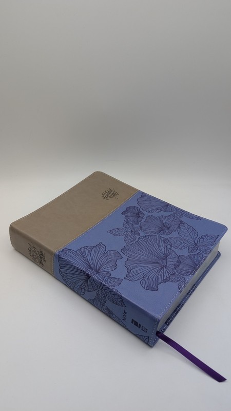 NIV, Beautiful Word Coloring Bible Large Print 2016