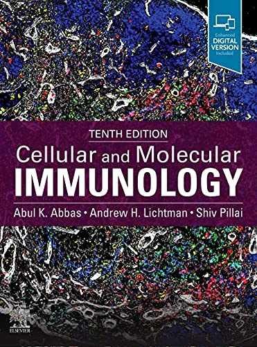 Cellular and Molecular Immunology – Paperback, by Abbas MBBS Abul – Very Good c
