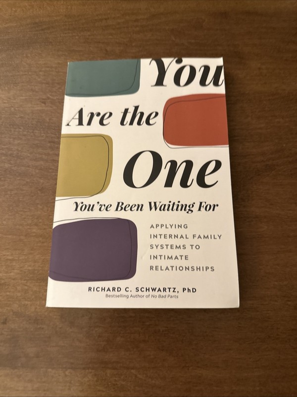You Are the One You’ve Been Waiting – Paperback, by Schwartz PhD Richard – Good