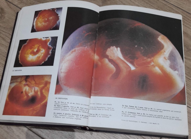Book 1974 Vintage Bordas Sexuality Focus Encyclopedia Gynecology Sciences Earth