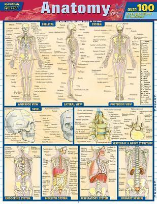 Anatomy Quizzer by Vincent Perez (2011, Book, Other)