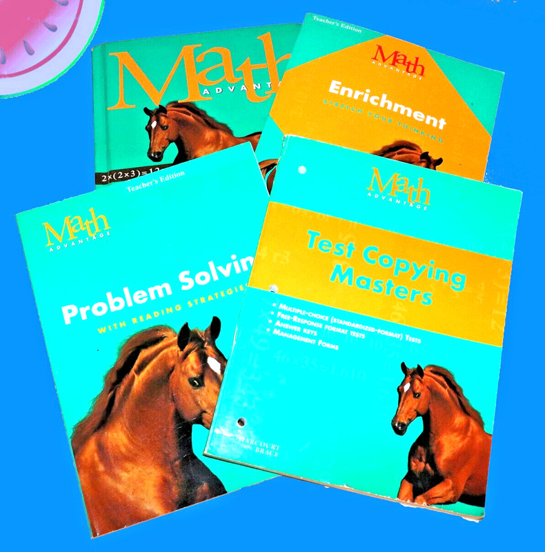 Lot LEVEL 4 Math Advantage SCHOOL BOOKS Enrichment PROBLEM SOLVING Test Masters