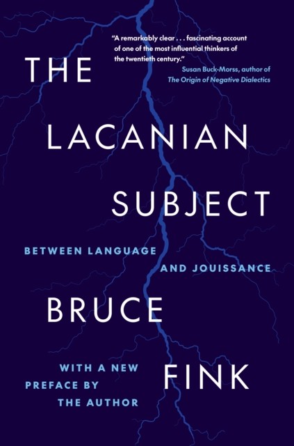 LACANIAN SUBJECT by FINK, BRUCE Paperback Self Help Business
