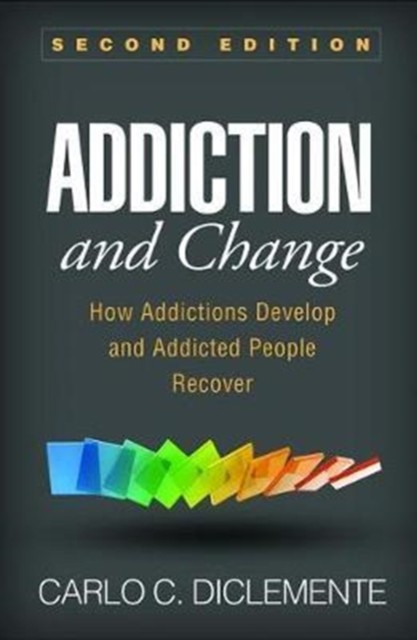 ADDICTION & CHANGE by Carlo C. DiClemente Paperback Self Help Business
