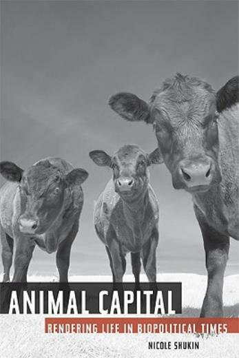 Animal Capital