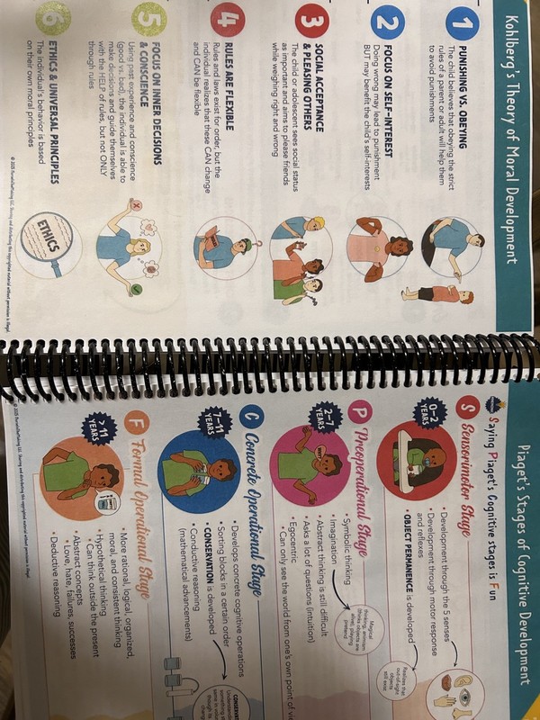 The Complete Nursing School Bundle 2026 edition gallery