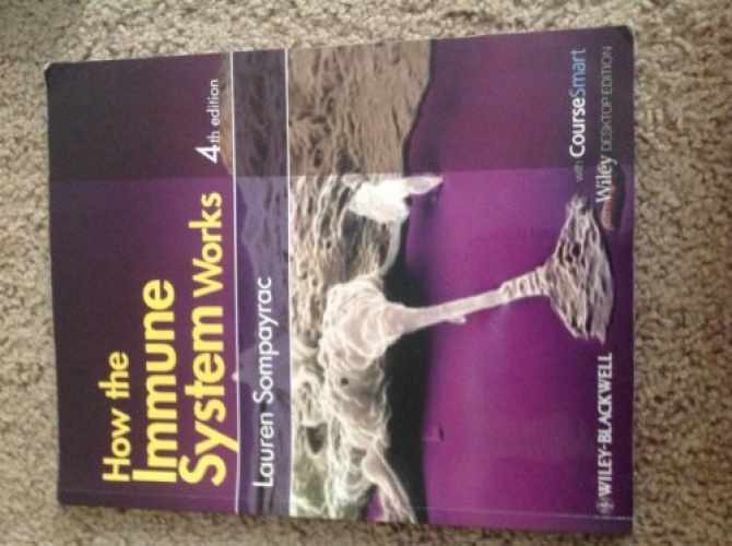 How the Immune System Works, – Paperback, by Sompayrac Lauren M. – Acceptable y