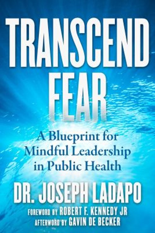 Transcend Fear : A Blueprint for Mindful Leadership in Public Hea