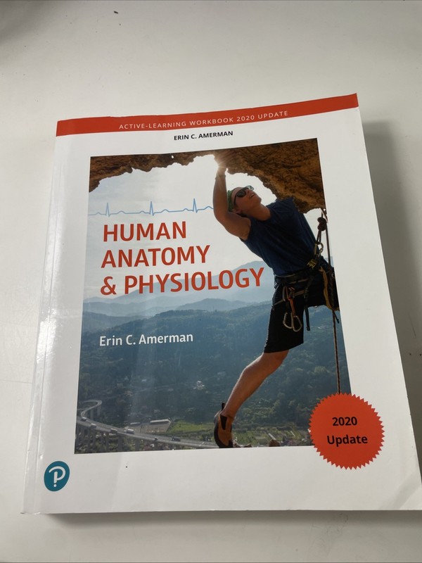 Active-Learning Workbook for Human Anatomy & Physiology, Updated Edition, USED