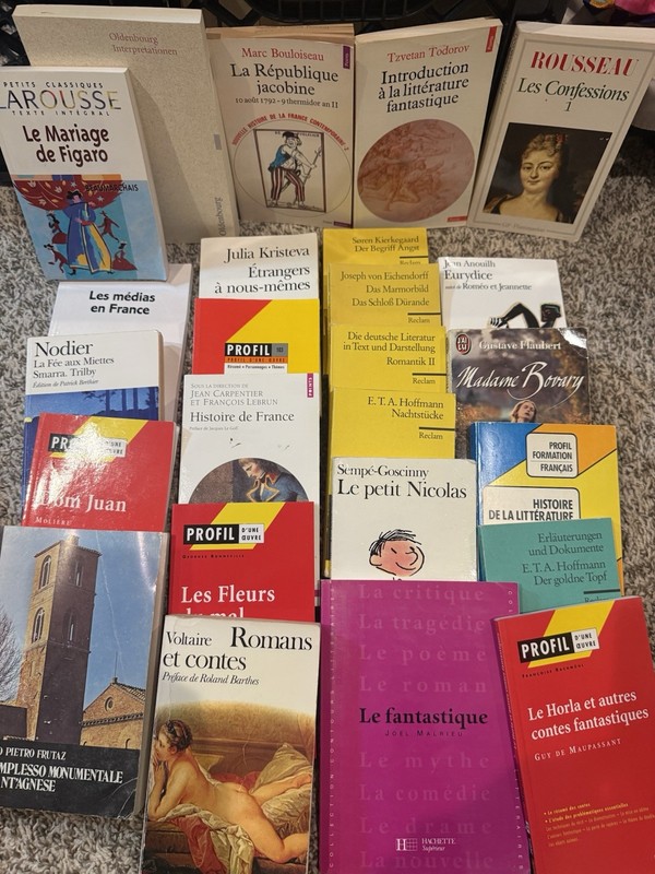 Lot of 25+ French & German Literature Books – Folio, Reclam, Hatier Classics