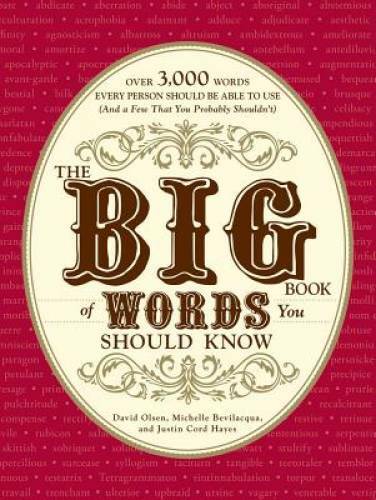 The Big Book of Words You Should Know: Over 3,000 Words Every Person Shou – GOOD