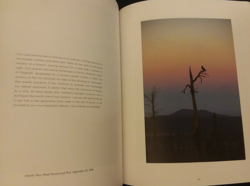 DIVIDED LIGHT - Hardcover + Dust Jacket 1st Print April 2020 Daniel James Alpert gallery