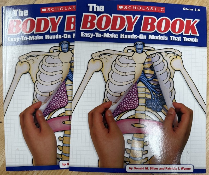 BRAND NEW- 2 Books The Body Book Grades 3-6 Human Anatomy Models Scholastic