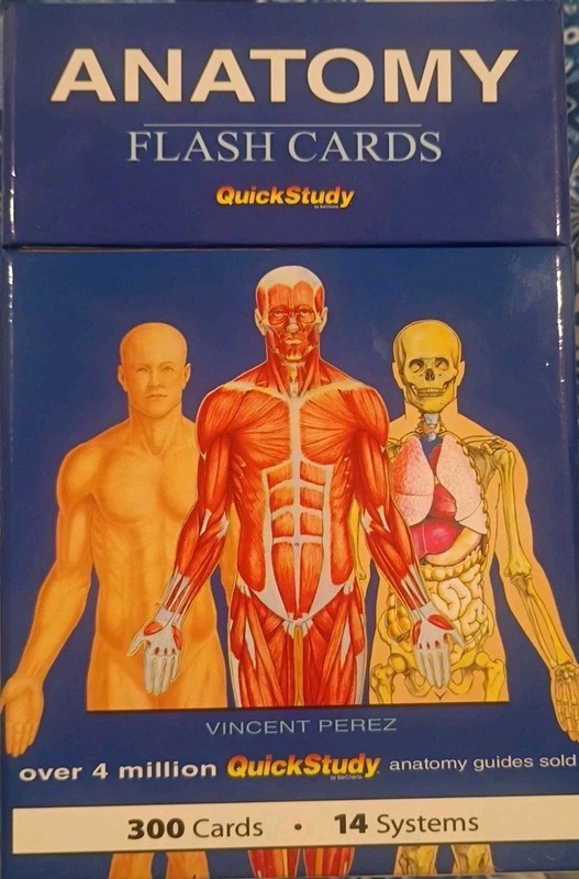 Anatomy Flash Cards Quick Study, Color-Coded, 300 Cards 14 Systems Covered