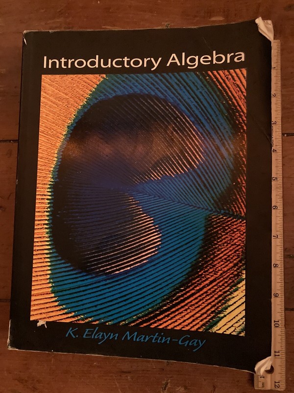 Introductory Algebra by K. Elayn Martin-Gay 1999 Math, homeschool resource