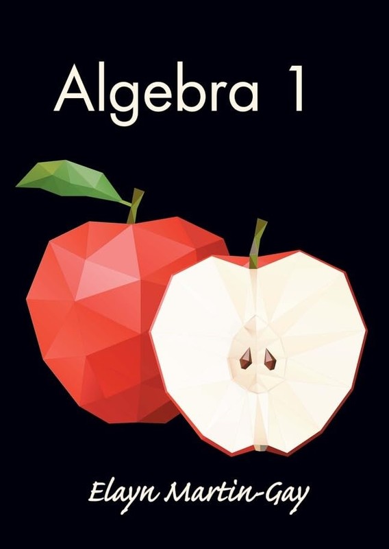 ALGEBRA 1 BY Elayn Martin-gay HARDCOVER **GOOD**
