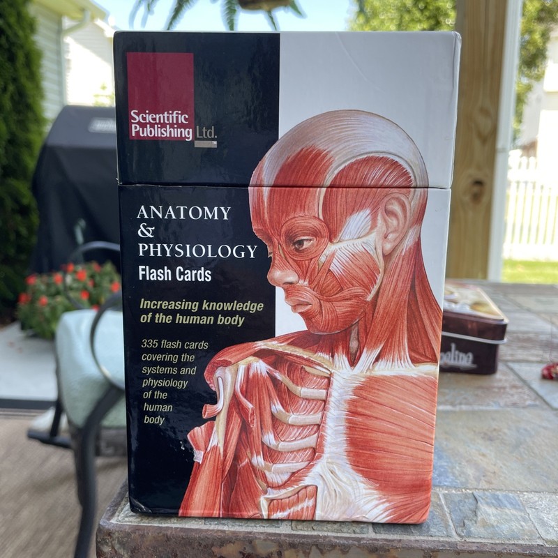 Anatomy Flash Cards
