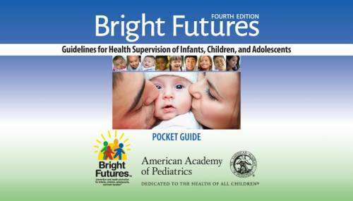 Bright Futures: Guidelines Pocket Guide – Spiral-bound – GOOD
