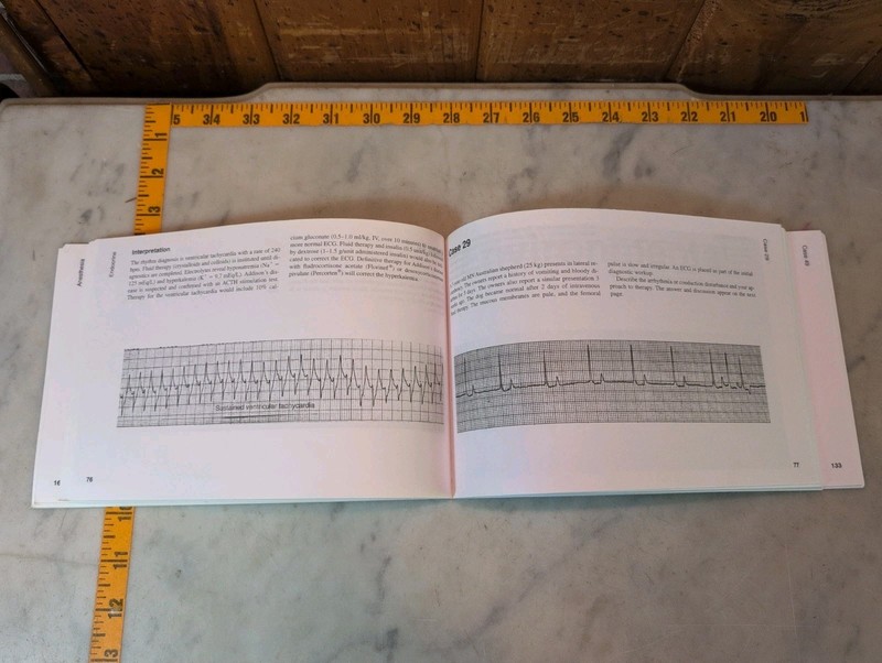 ECG Interpretation in the Critically Ill Dog and Cat Thomas K. Day Veterinary gallery