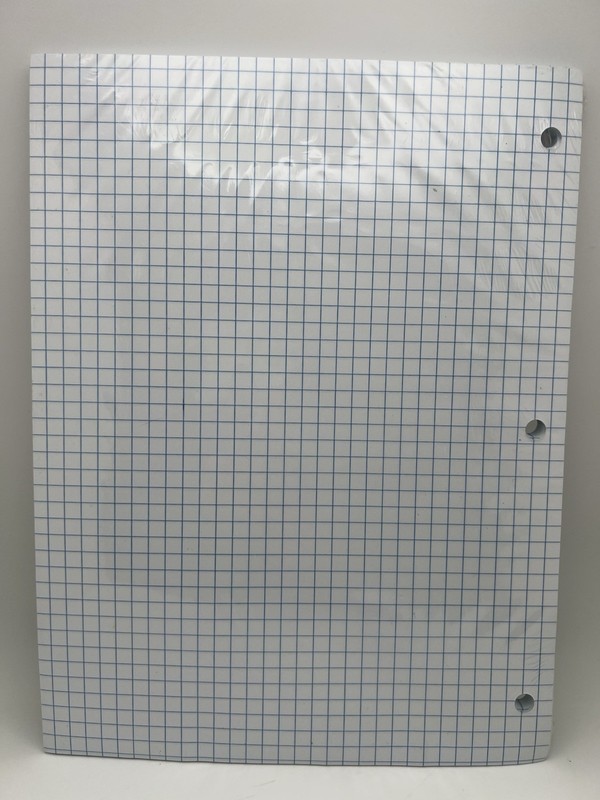Loose Leaf Graph Ruled Filler Paper 100 Sheets 10.5 x 8 4 Sq/In Quad gallery