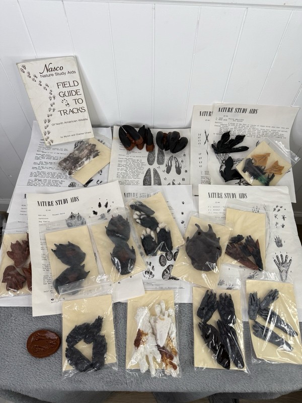 Vtg 1965 70s Nasco’s Nature Study Aids Animal Tracks Silicon Mold Wildlife Track