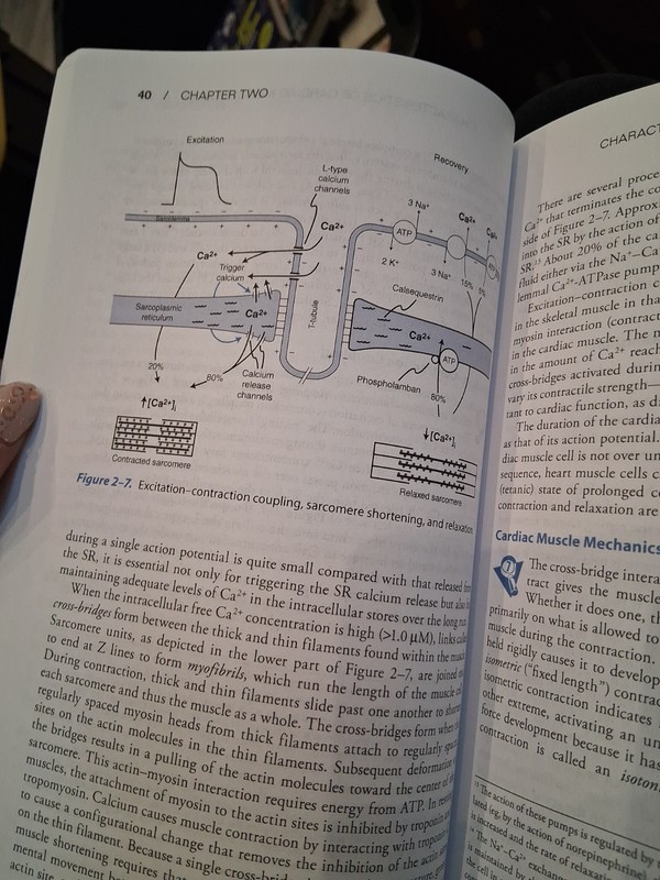 Cardiovascular Physiology 8/e by Lois Jane Heller and David E. Mohrman (2013,... gallery